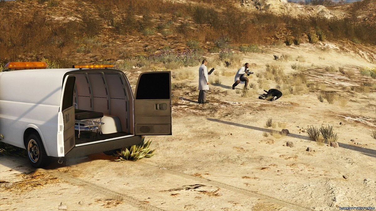 Coroner Service 1.3.1 / GTA 5