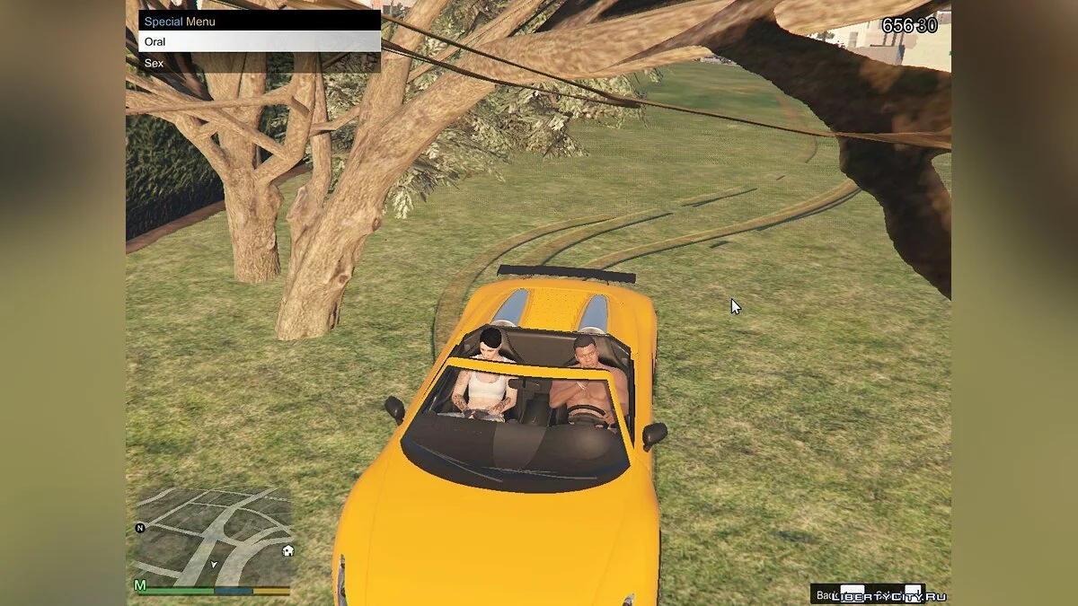 Custom Peds -[Single Player] V3.0.0.0 / GTA 5