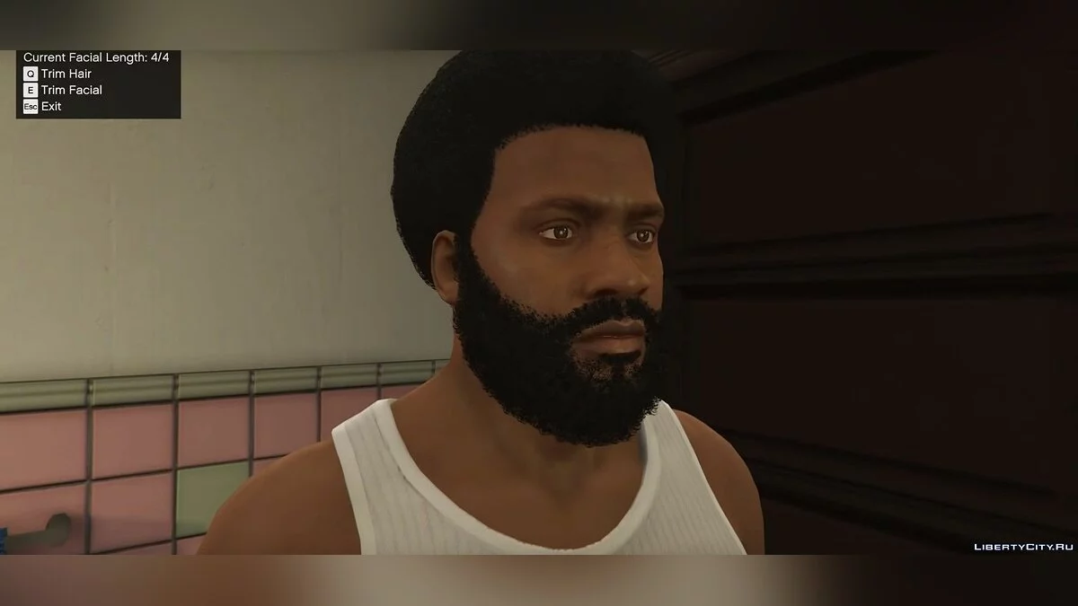 Growing Hair and Beard 1.0 / GTA 5
