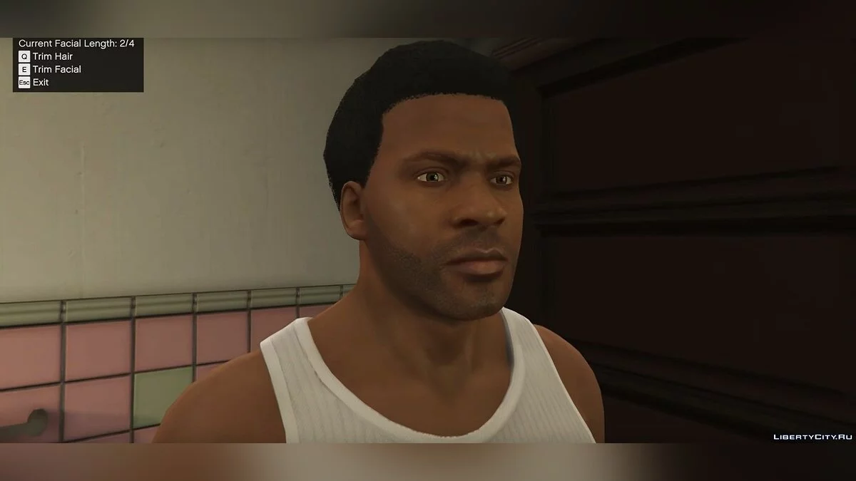 Growing Hair and Beard 1.0 / GTA 5