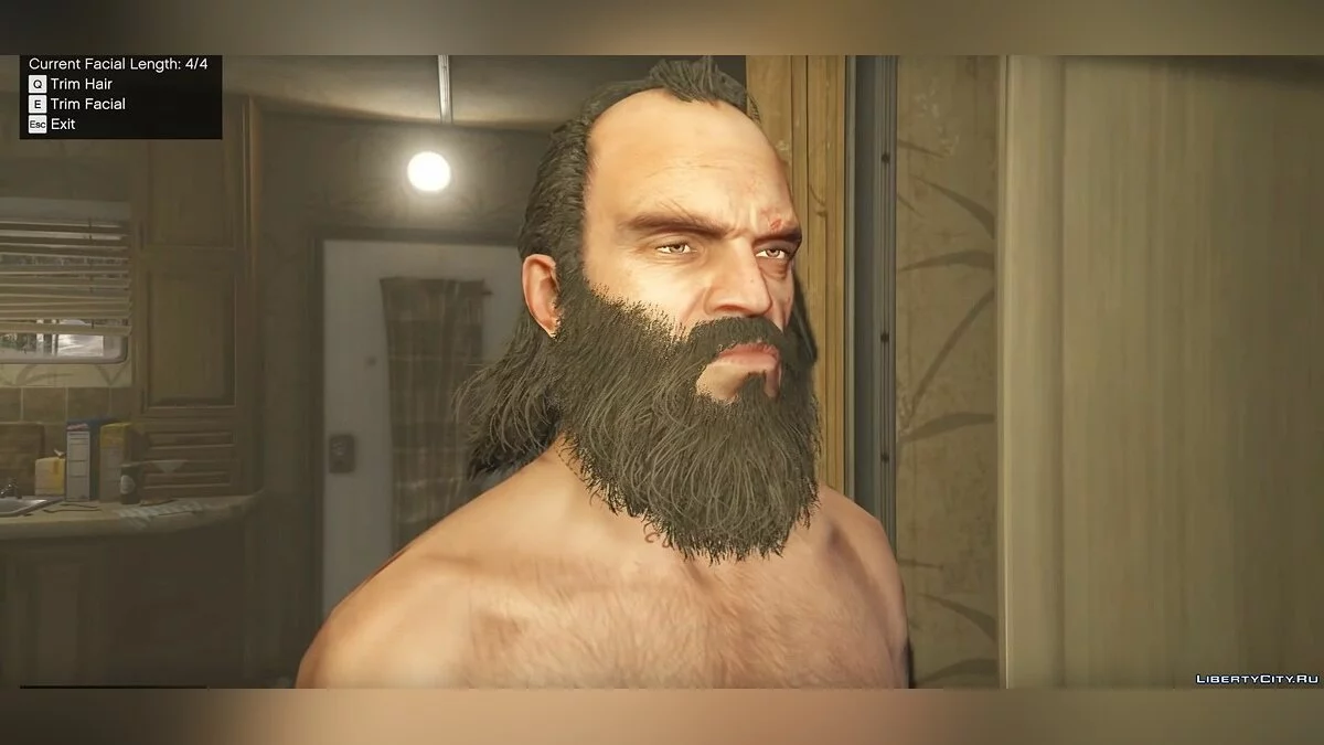 Growing Hair and Beard 1.0 / GTA 5