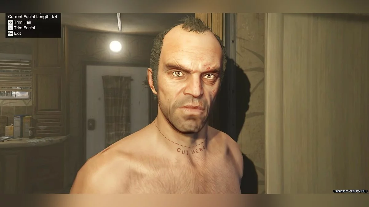 Growing Hair and Beard 1.0 / GTA 5