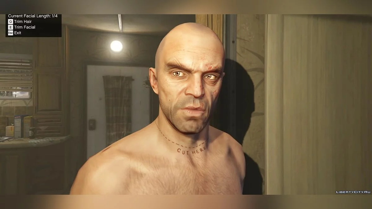 Growing Hair and Beard 1.0 / GTA 5
