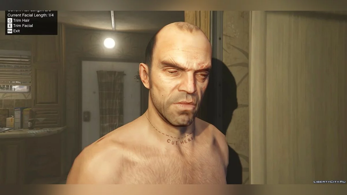 Growing Hair and Beard 1.0 / GTA 5