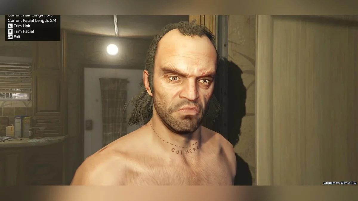 Growing Hair and Beard 1.0 / GTA 5