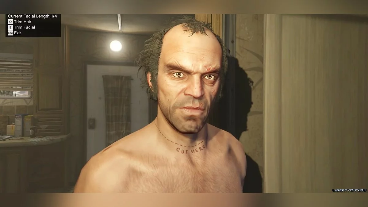 Growing Hair and Beard 1.0 / GTA 5