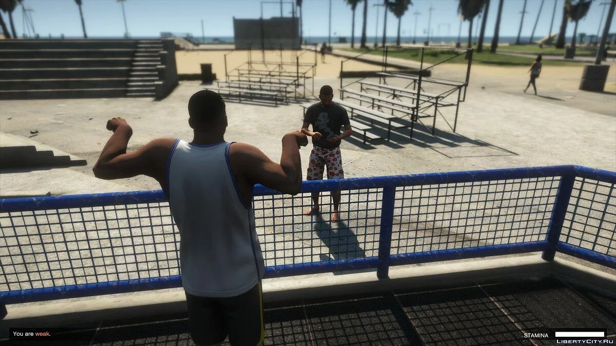 健身 [.NET] 1.0 - GTA 5 的真实健身 / GTA 5