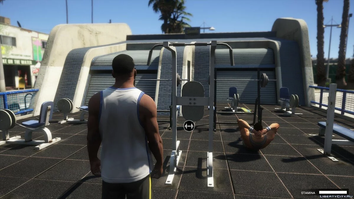 健身 [.NET] 1.0 - GTA 5 的真实健身 / GTA 5