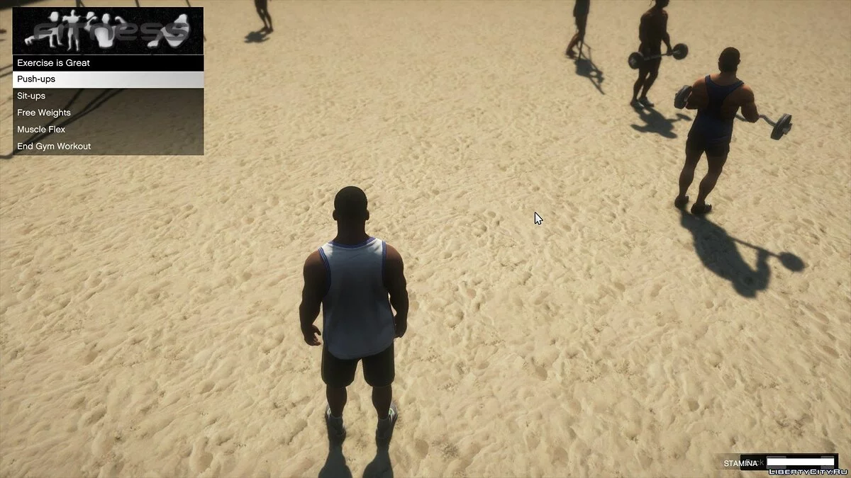 健身 [.NET] 1.0 - GTA 5 的真实健身 / GTA 5