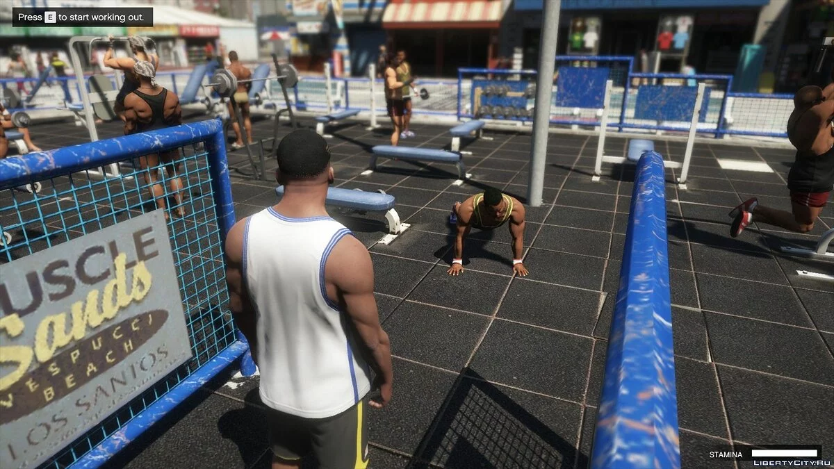 健身 [.NET] 1.0 - GTA 5 的真实健身 / GTA 5