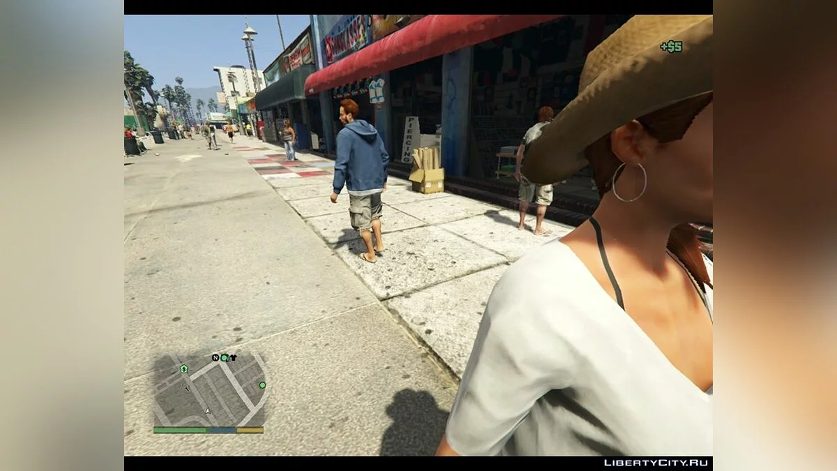 Возможность обворовывать людей / GTA 5
