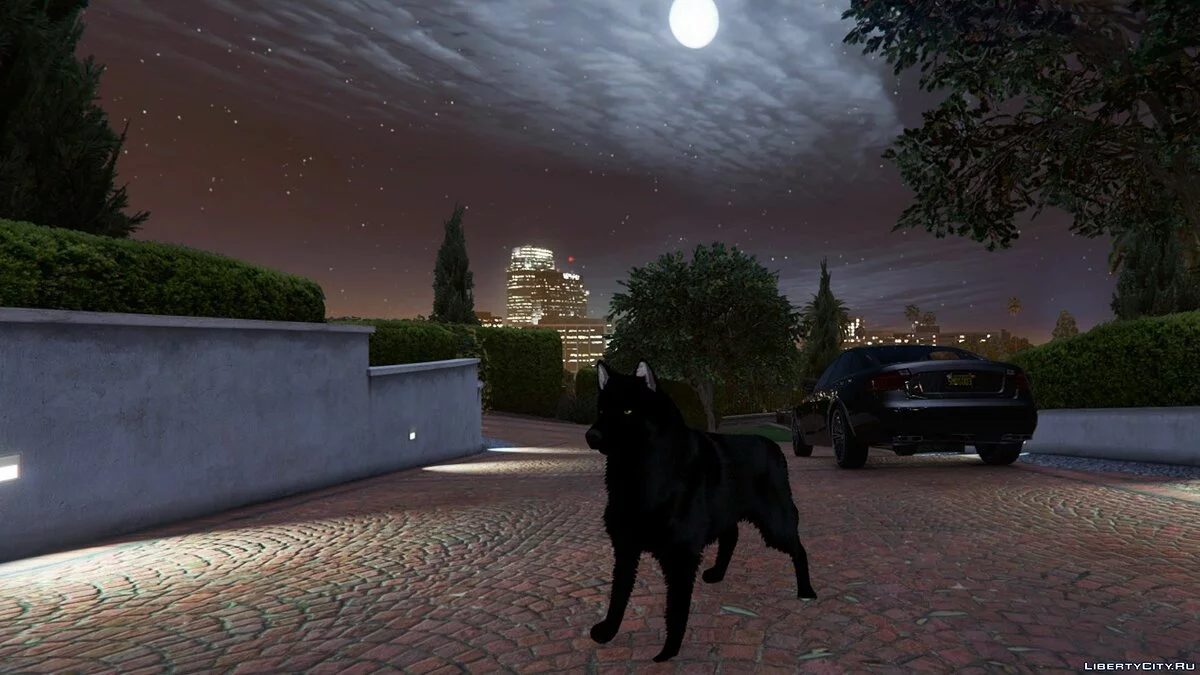 Personal Dog / GTA 5