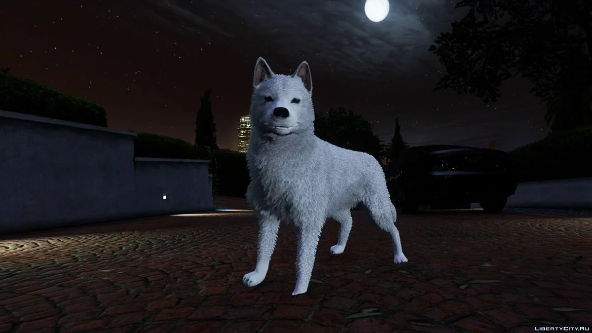 Personal Dog / GTA 5