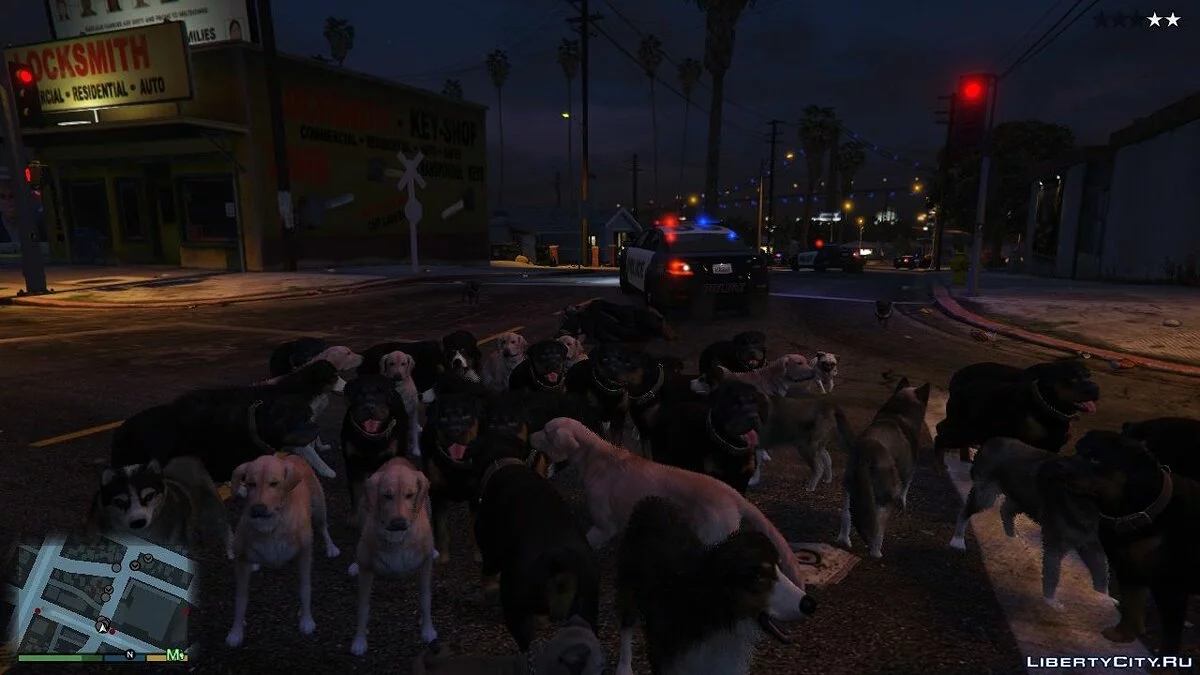 Anjing sebagai Pengawal / GTA 5