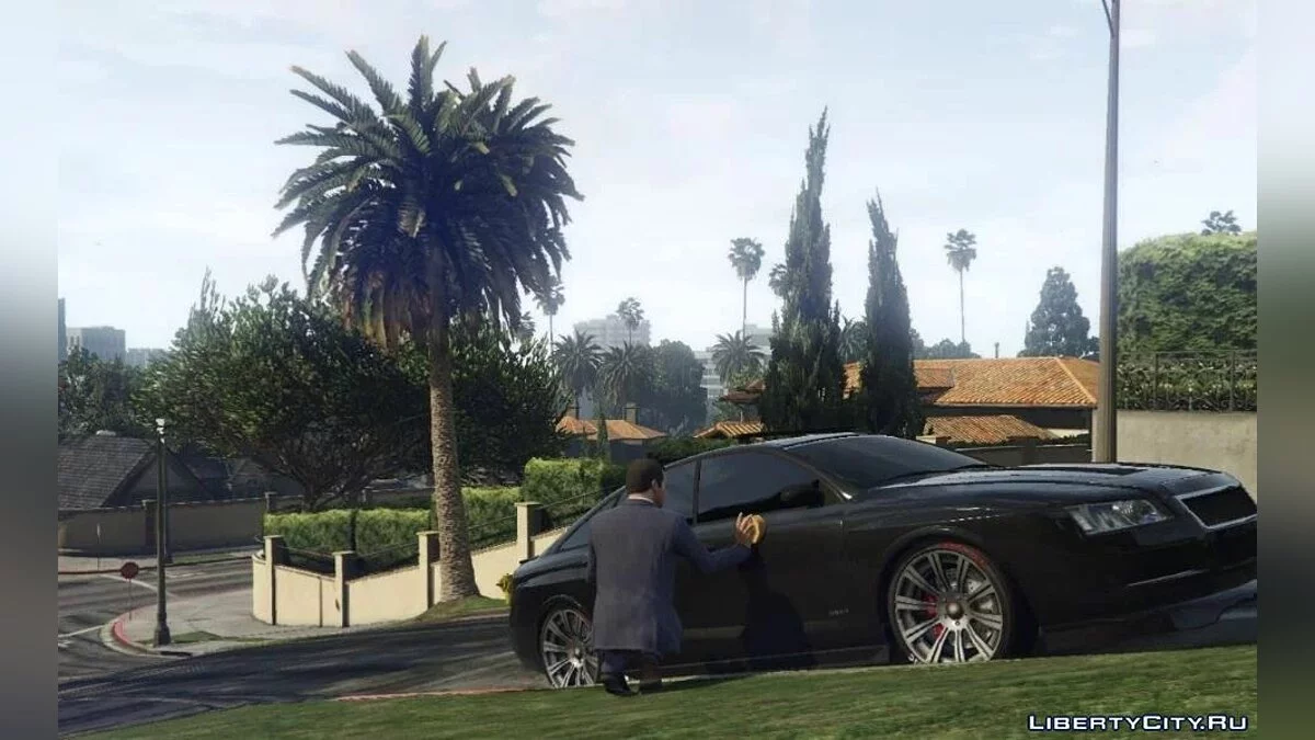 Ability to Wash Your Car / GTA 5