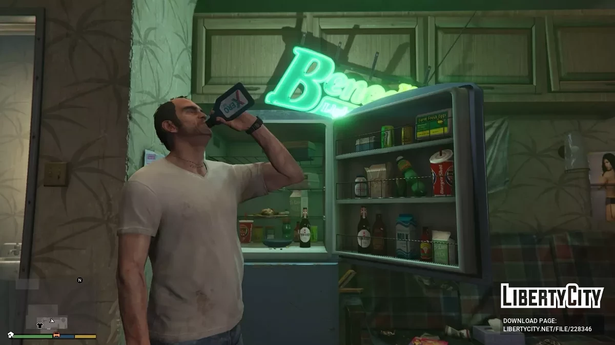 Réfrigérateurs interactifs / GTA 5