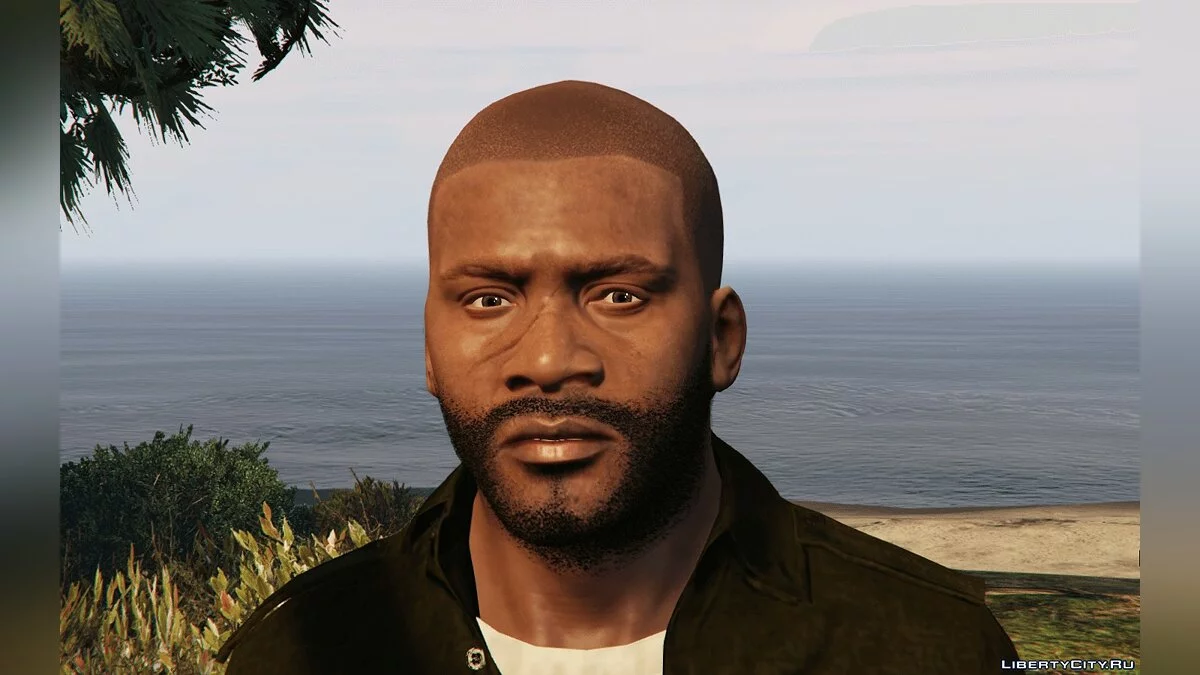 弗兰克林的越南包 1.0 / GTA 5