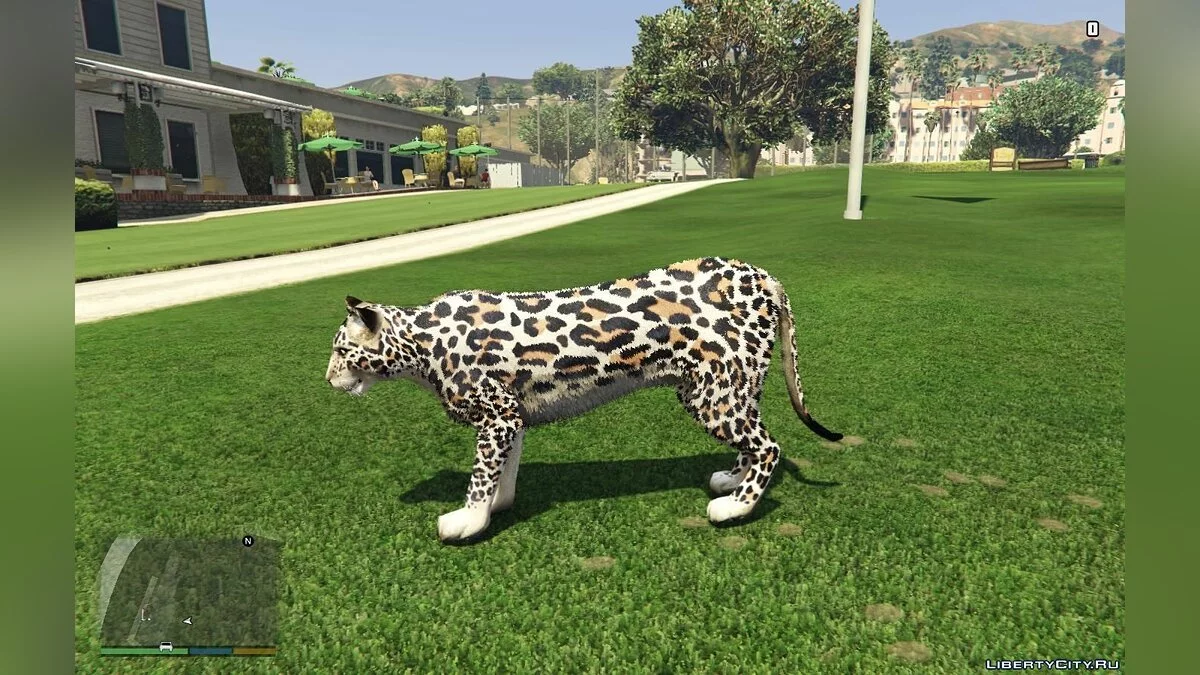 Шкіра леопарда 1.0 - Леопард / GTA 5