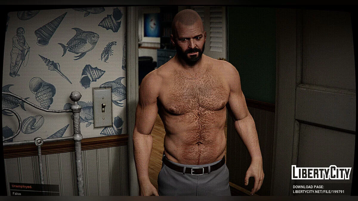 Physique Overhaul für Michael / GTA 5