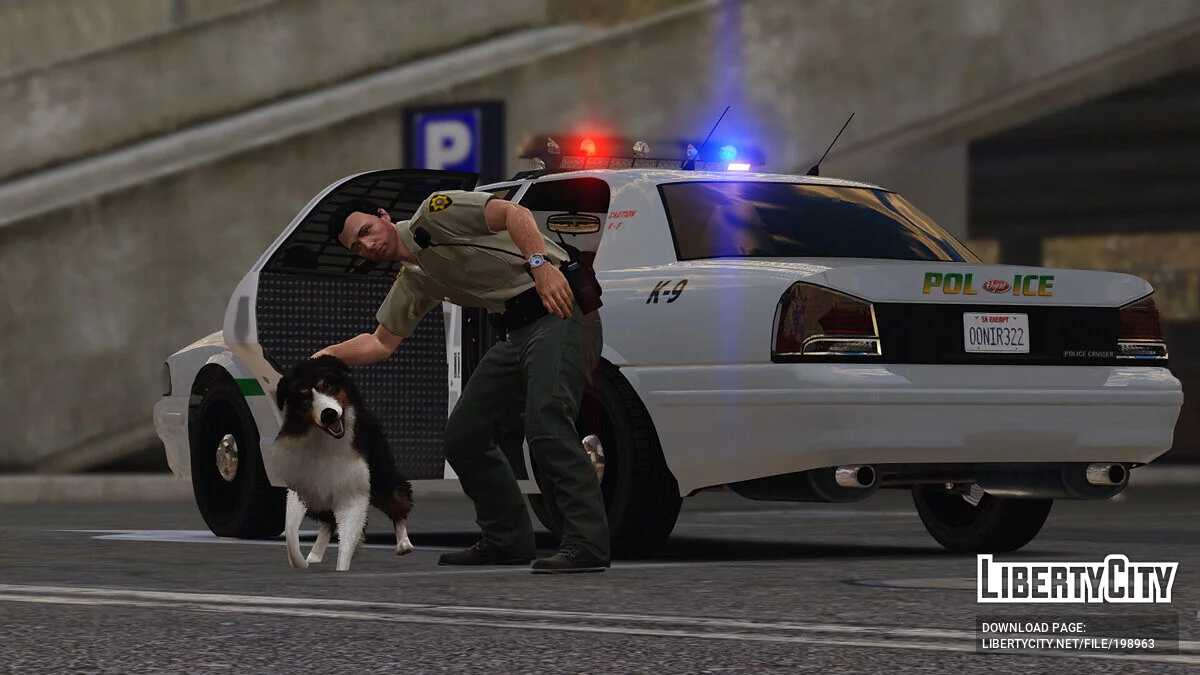 San Andreas Hospital Police Pack [EUP | Véhicules | Lore-Friendly] 1.0.0 / GTA 5