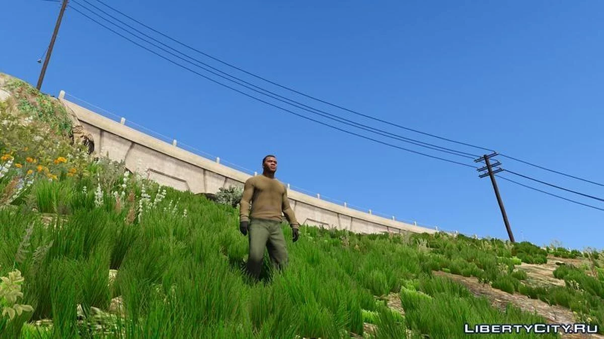 Grass Texture Mod / GTA 5