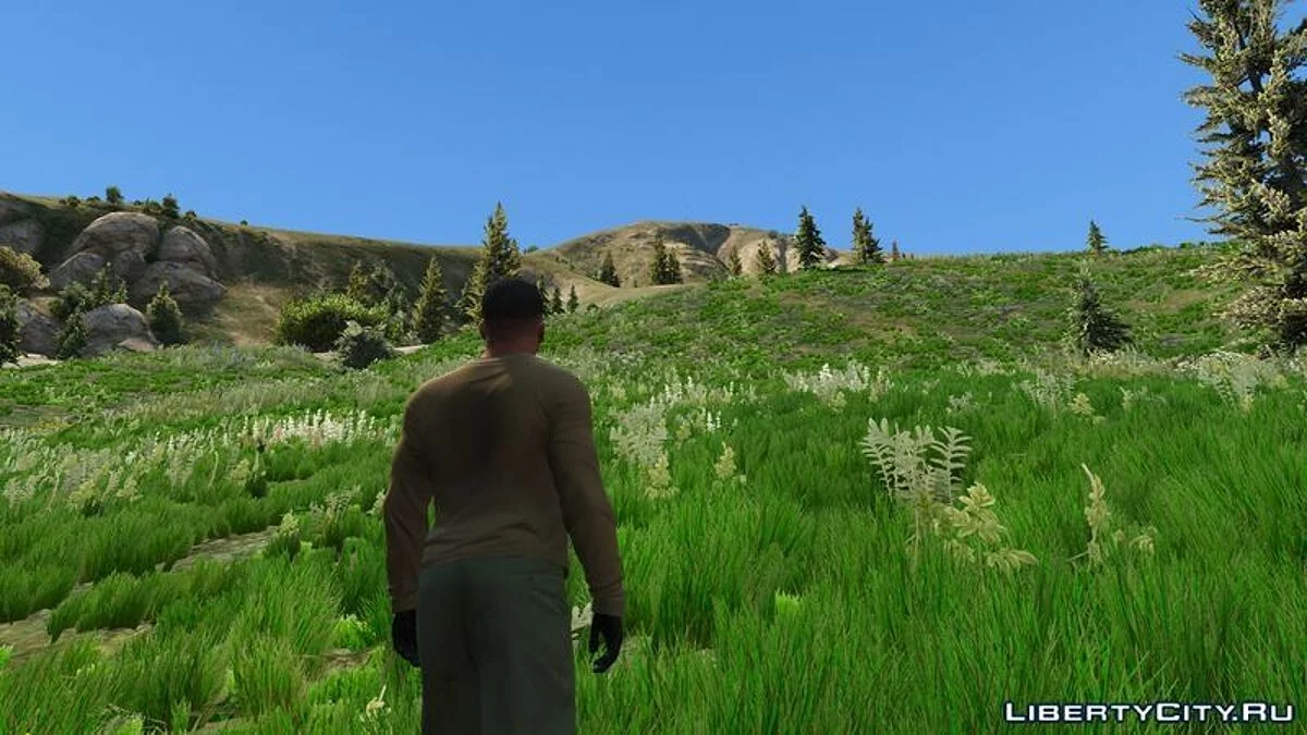 Grass Texture Mod / GTA 5