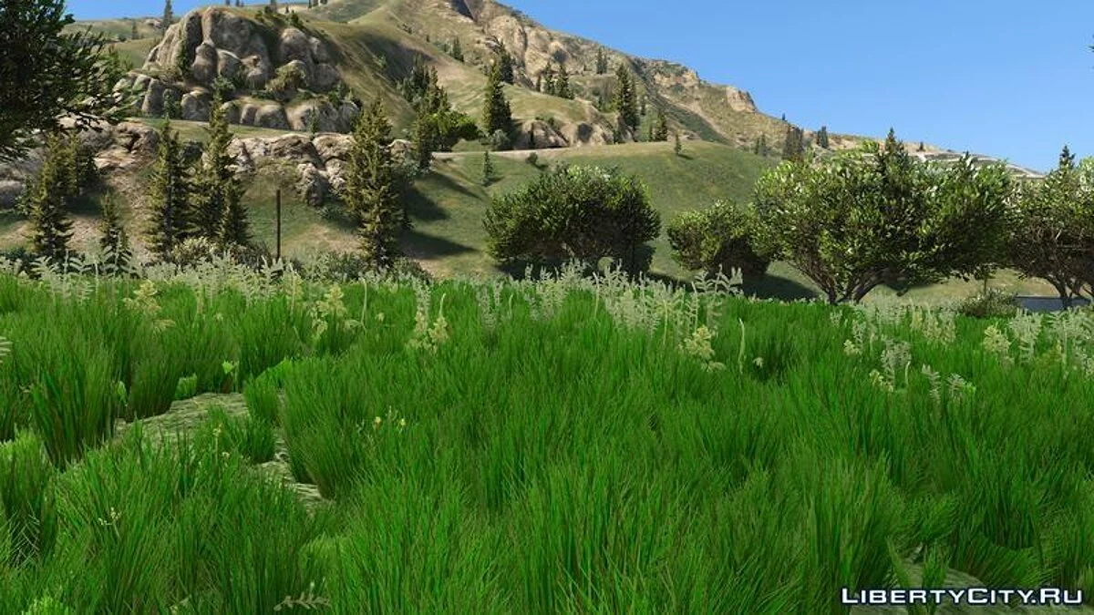 Grass Texture Mod / GTA 5