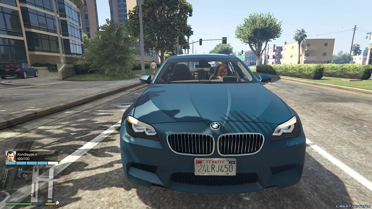 Türkische Nummernschilder / GTA 5