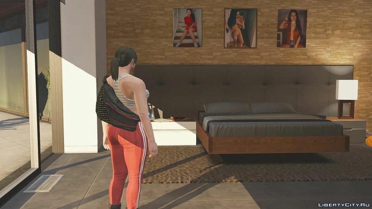Belos Cartazes/Pinturas/Fotos para a Casa do Franklin 1.1 / GTA 5