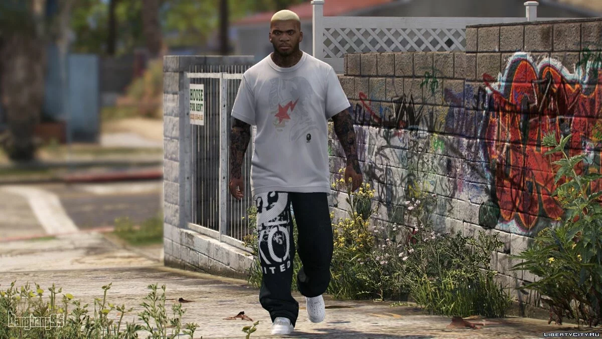 New Face for Franklin / GTA 5