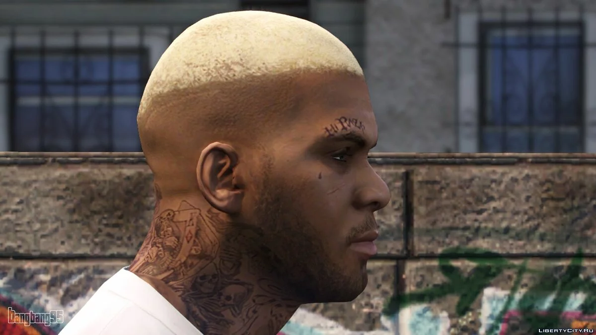 New Face for Franklin / GTA 5