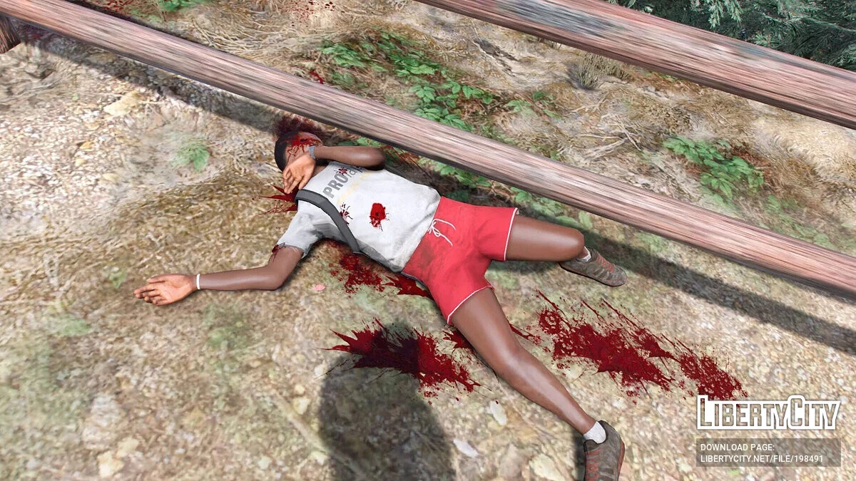 Realistic blood and wounds / GTA 5