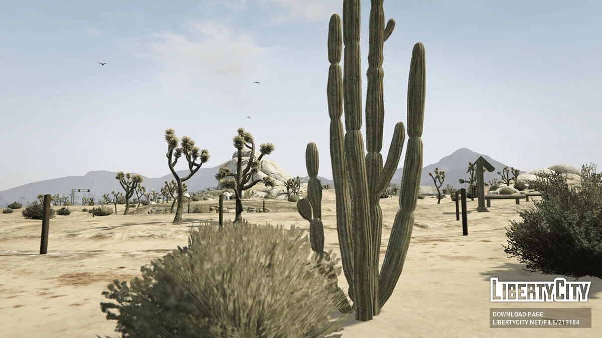 Stara roślinność pustynna / GTA 5