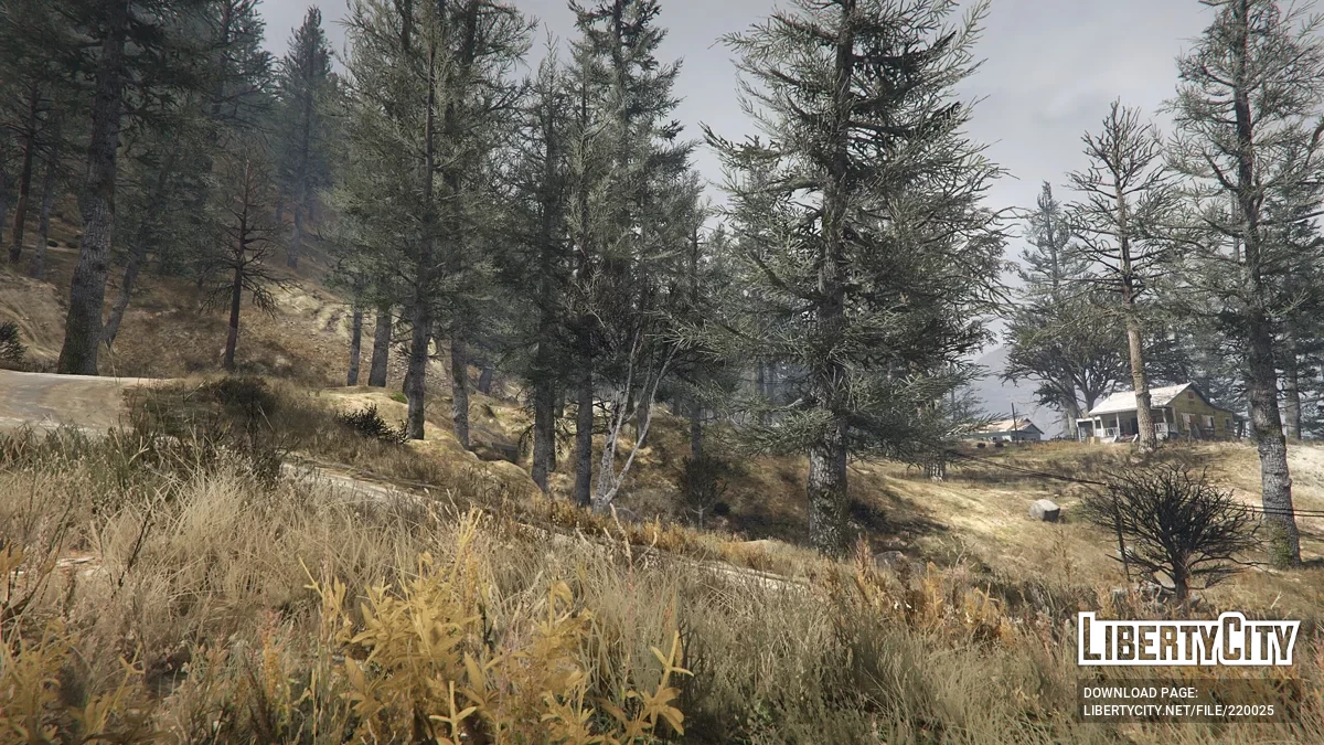Ambiance fin d'automne et hiver / GTA 5