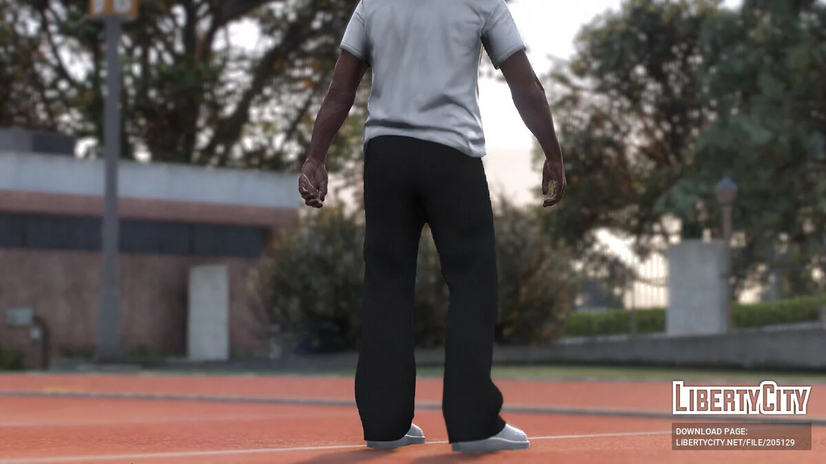 喇叭裤 [MP 男] / GTA 5