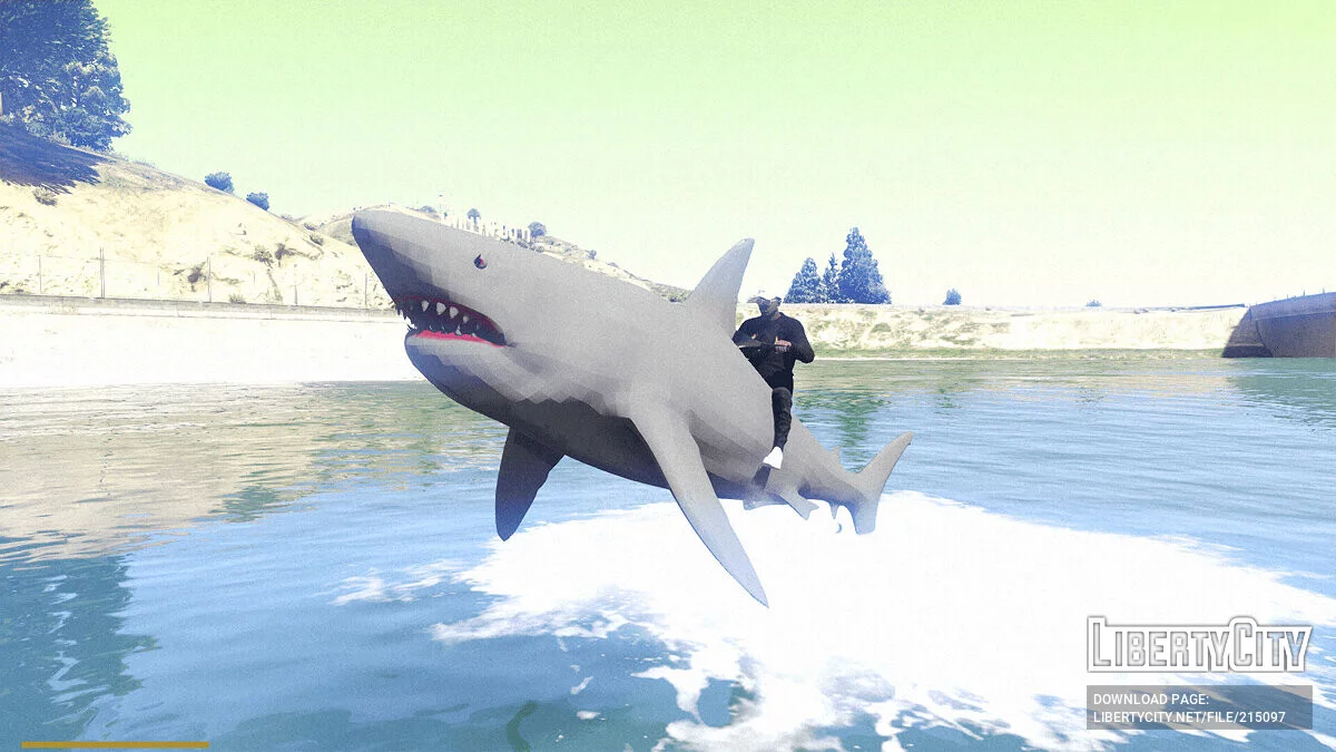 Shark / GTA 5