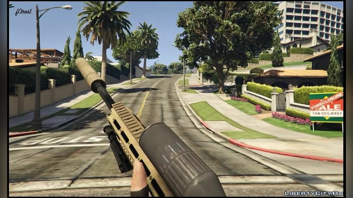 Fusil de précision MSR / GTA 5
