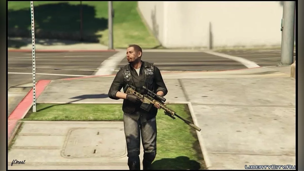 Fusil de précision MSR / GTA 5