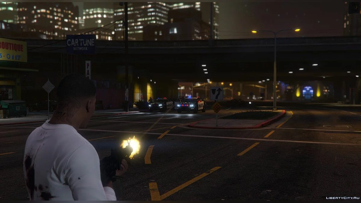 Ameli LMG 1.0 / GTA 5