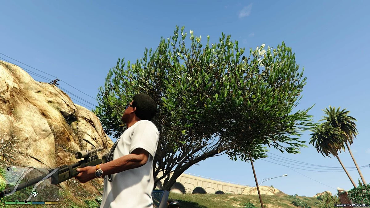 Пустельний Скоп 0.1 / GTA 5