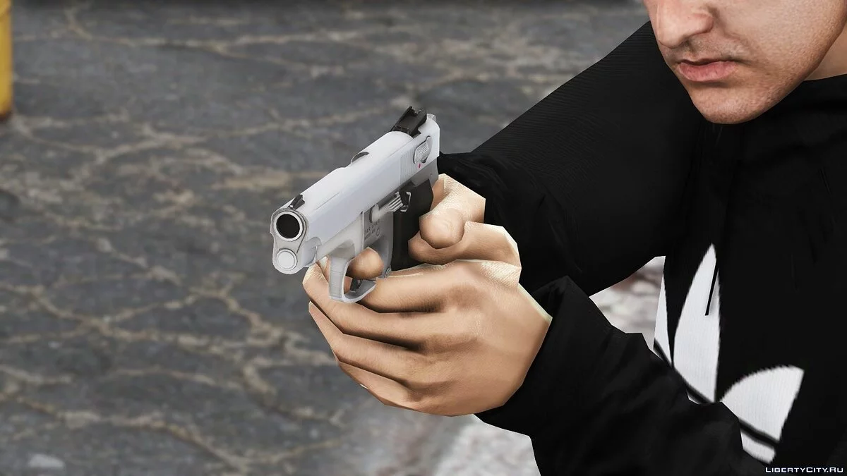 史密斯与韦森 5946 RCMP 服务手枪 / GTA 5