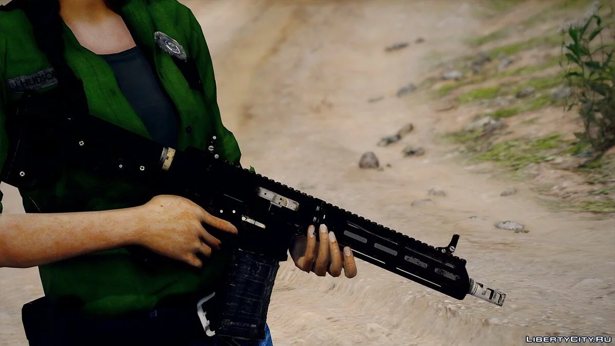 AR-C Far Cry 5 1.0 / GTA 5