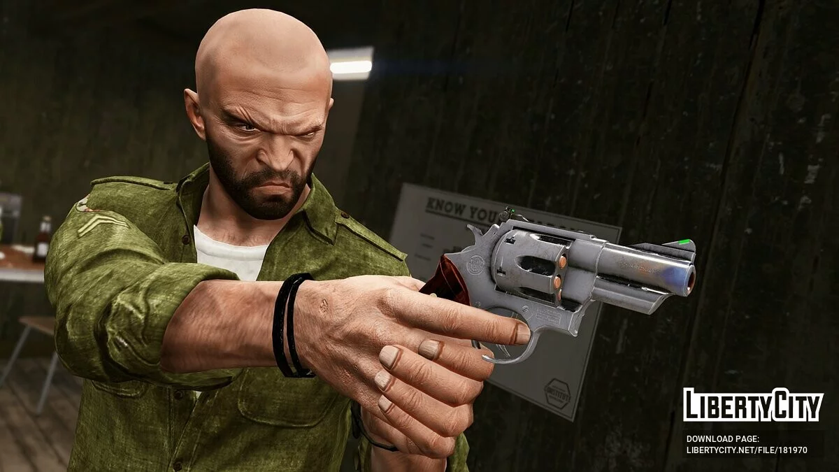 S&W Model 657 1.0 / GTA 5