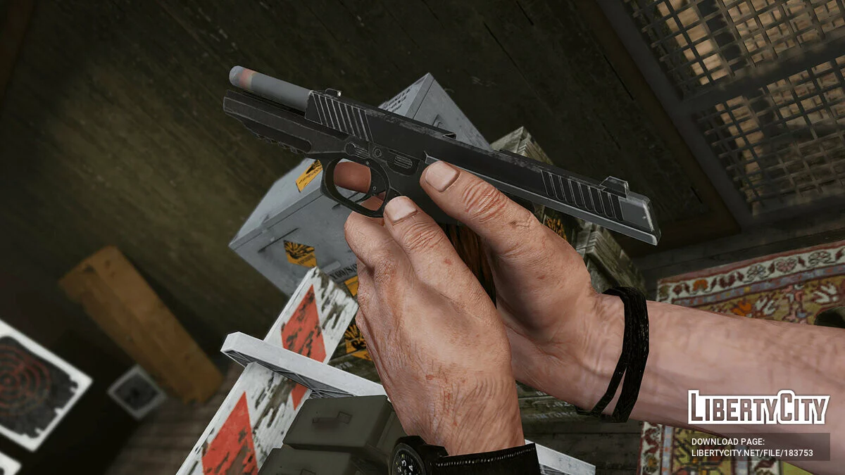 Kalashnikov Concern PL-14 [Animasi] 1.0 / GTA 5