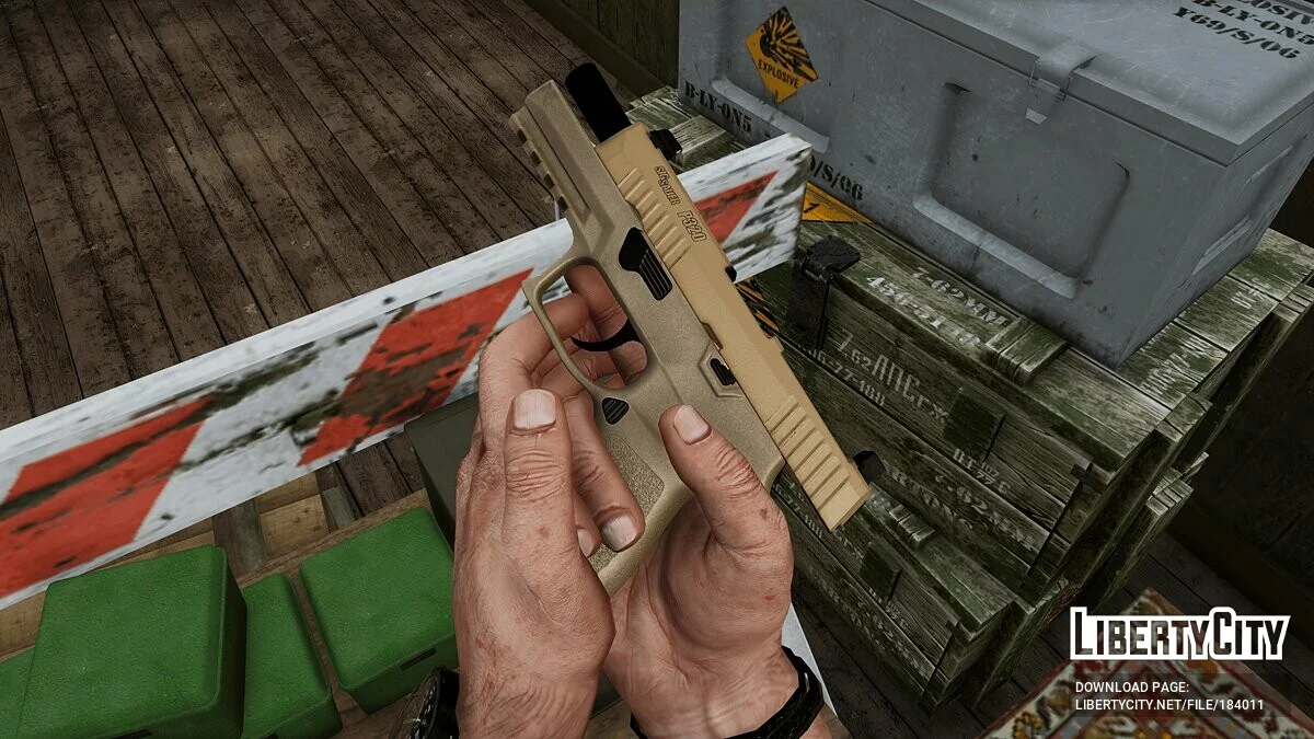 SIG Sauer P320 RXP Compact / GTA 5