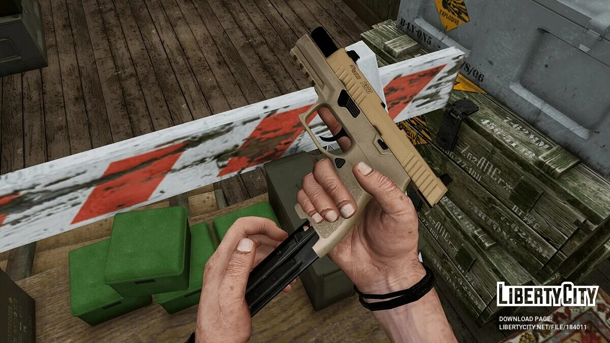 SIG Sauer P320 RXP Compact / GTA 5