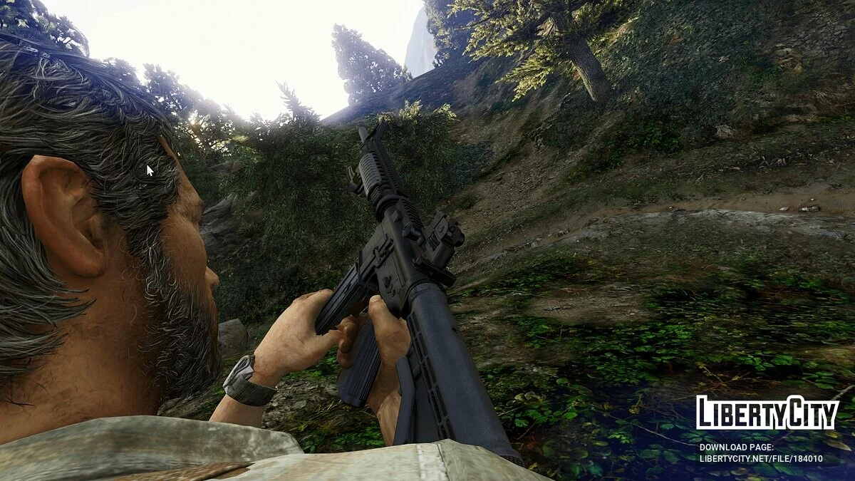 The Last of Us Inspired M16A4 / GTA 5