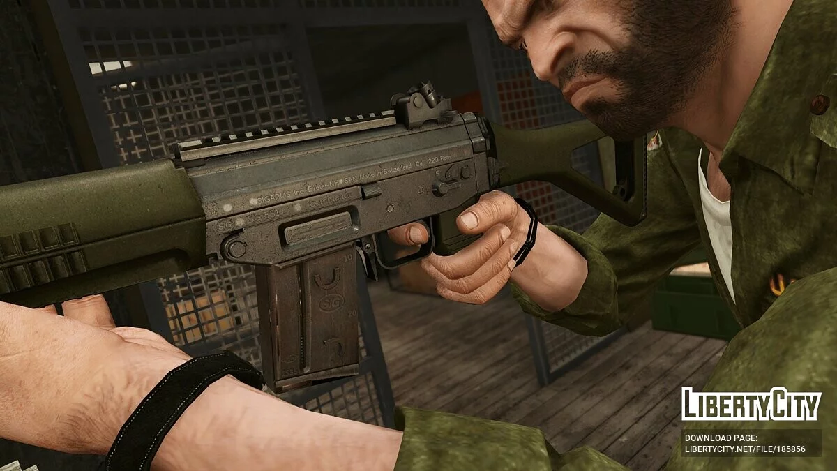 SIG SG 550 1.0 / GTA 5