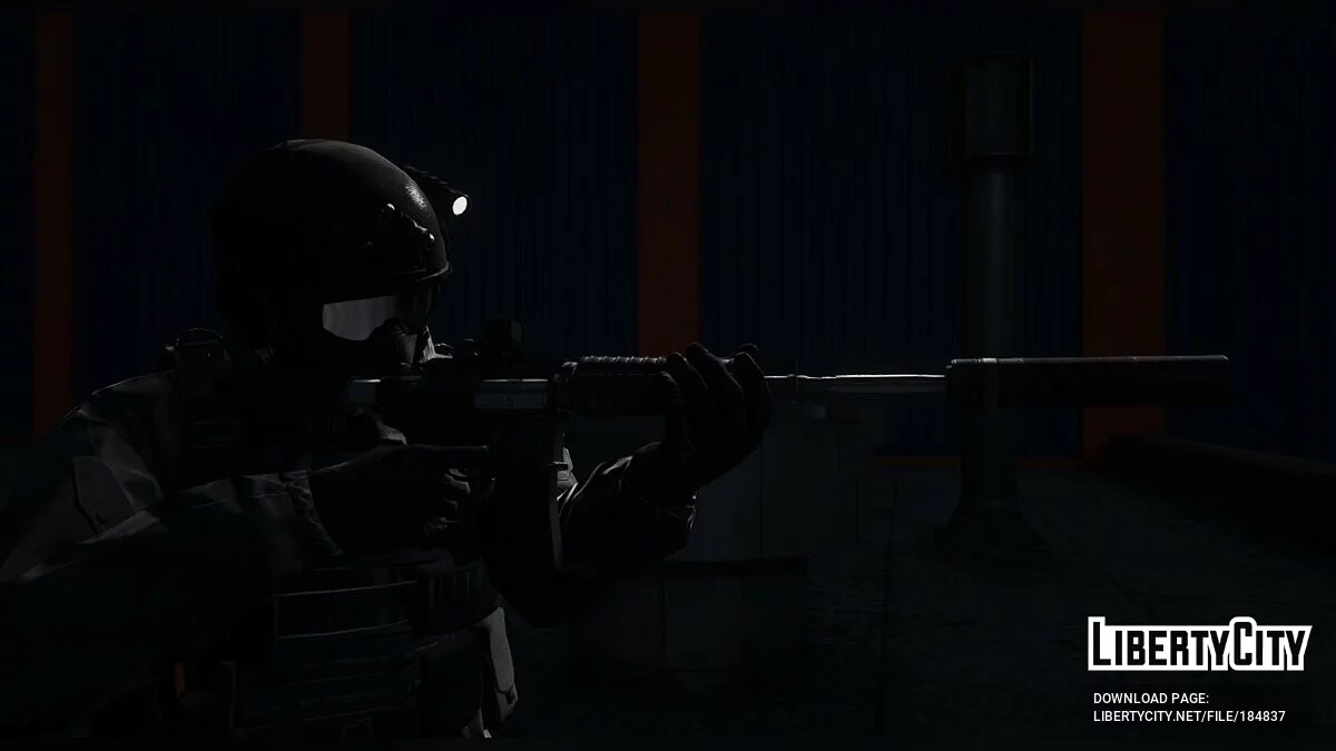 Vom Feuer Military Carbine / GTA 5