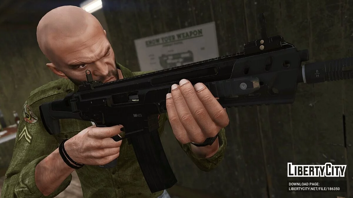 H&K HK433 1.0 / GTA 5